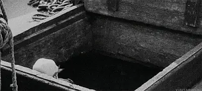 Gif von Nosferatu, der aus einem Loch aufsteht.