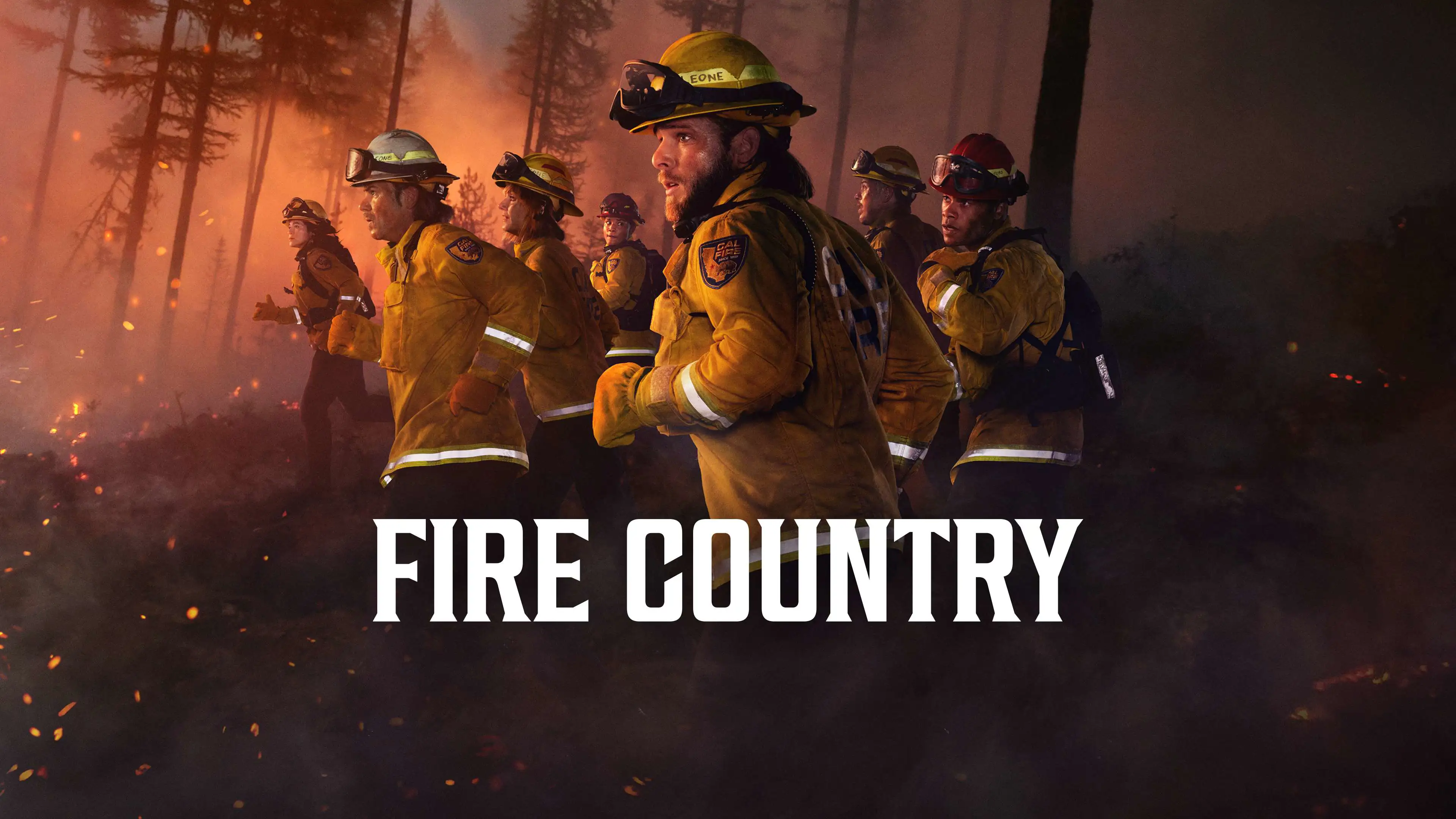 Poster vom Cast von Fire Country in Feuerwehruniform. Sie laufen in einen brennenden Wald, der Titel ist zu sehen.
