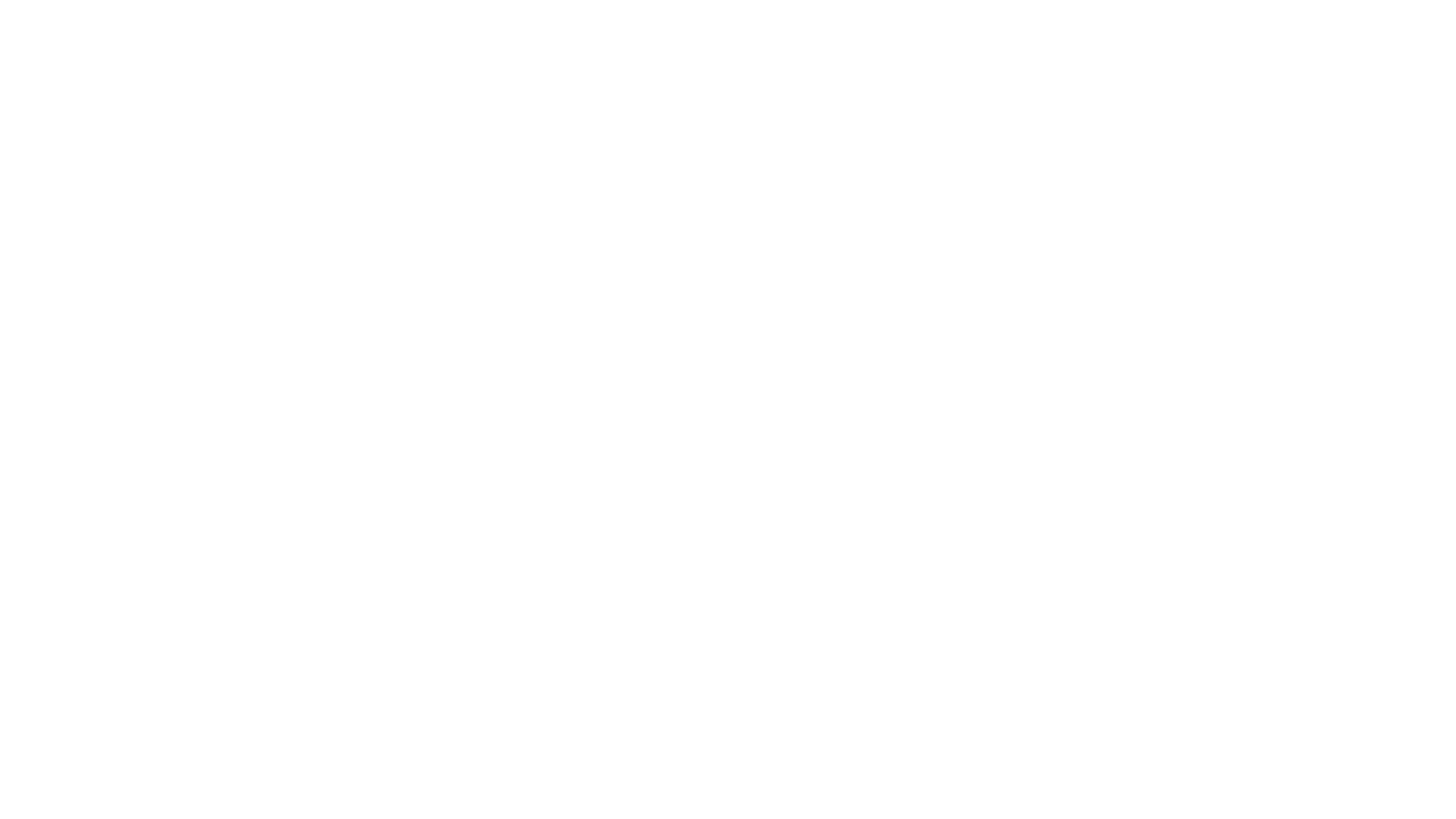 Diagonale Logo in Weiß